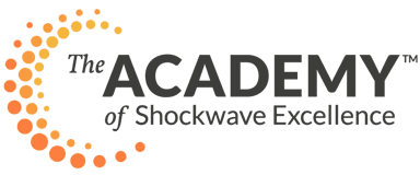 Shockwave academy logo